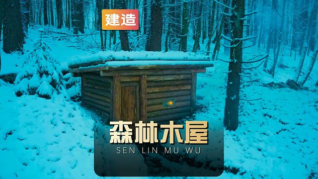 男子在丛林遭遇鬼打墙，为了活下去一天内搭建出精致的木屋庇护所