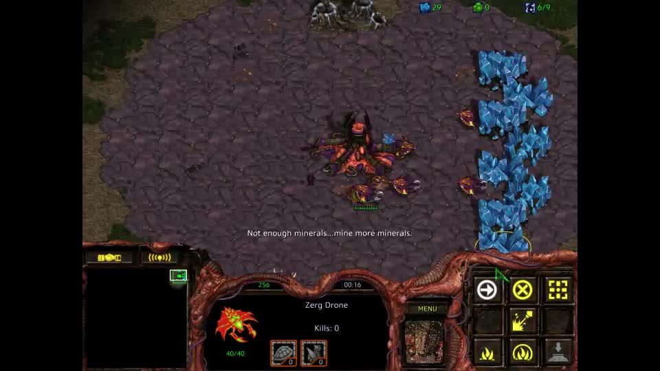 scrscr的直播间-片段1