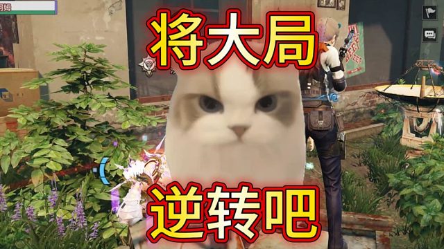 75线天花板卡级号，在特训被人机打死？