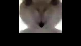 三角洲行動