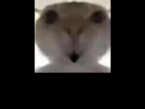三角洲行動