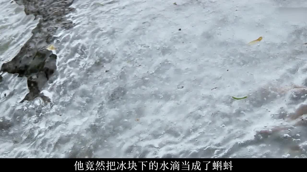 德爷挪威西海岸荒野求生，差点把窝棚烧了，最终实现海鲜自由！(2)