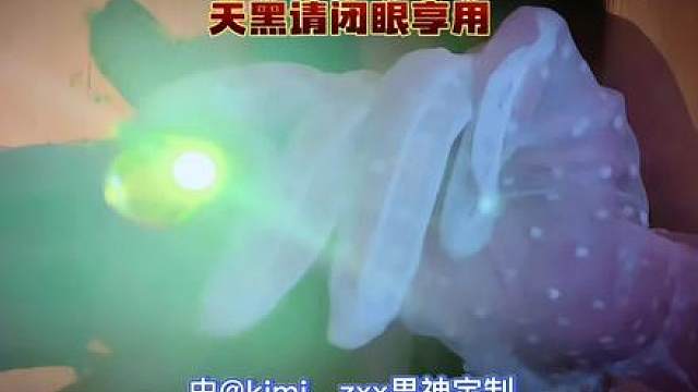 我发布了一个新视频，快来围观吧！