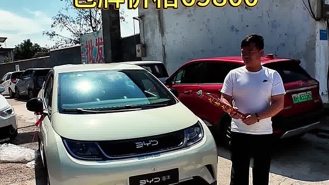 比亚迪海豚，指导价106800，包牌价69800喜欢的联系