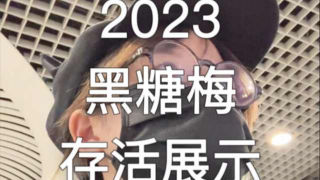 闪太快的地方可以暂停一下