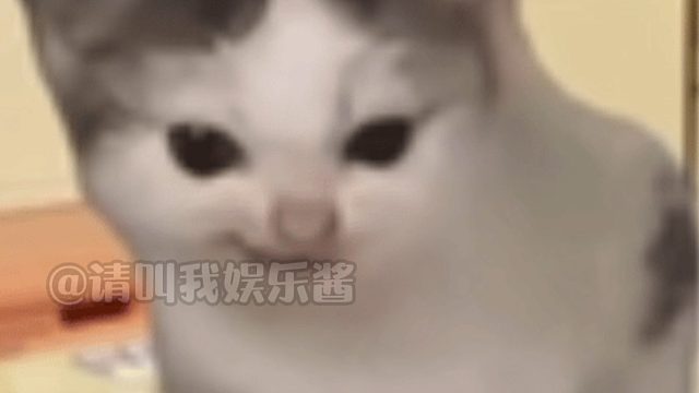 如何判断朋友是不是老鼠人