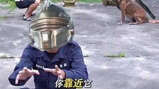 醬油提醒你，地鐵不要隨意逗鼠鼠喲