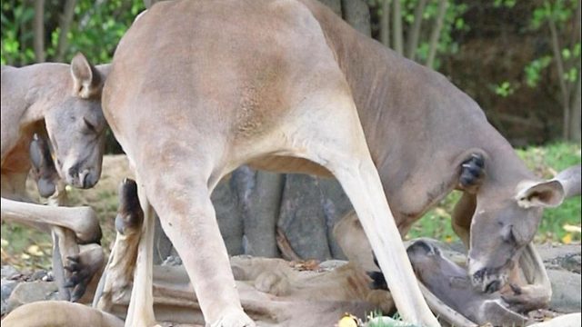 一时分不清谁是主角