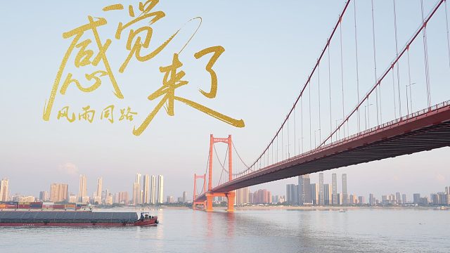 【感觉来了】风雨同路