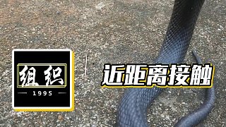 【小酷】近距離接觸