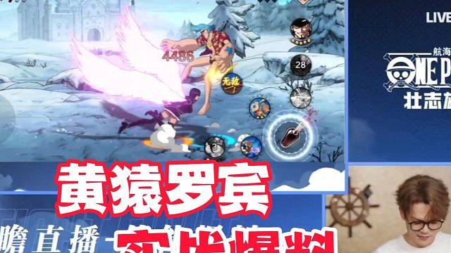 黄猿罗宾实战爆料，罗宾终结技是所有男人的噩梦！