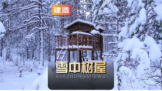 谁能拒绝在睡前刷一集解压的雪中树屋建造呢？