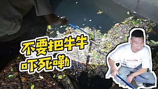 【小酷】不要把牛牛嚇?biāo)类? style=