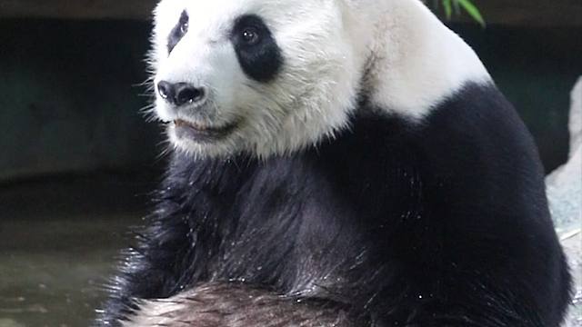 愿大爷的松弛生活