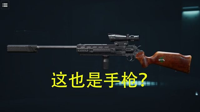 这tm叫手枪？