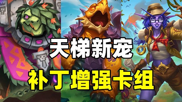 绝望之墙！补丁受益者！炉石最百花齐放的职业！