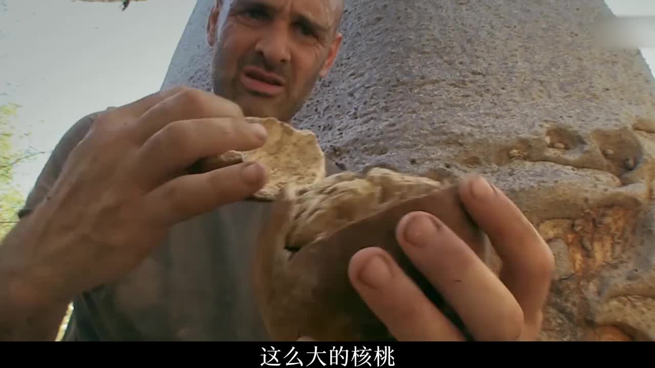 野外捕获凶猛辣条，德爷马达加斯加荒野求生，吃上肥美大青蟹！(2)