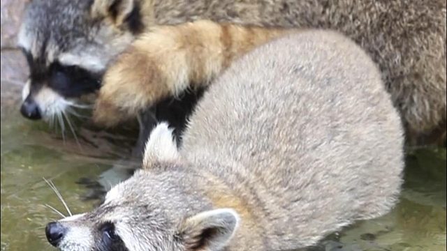 只要坚持不懈，就能享受美味