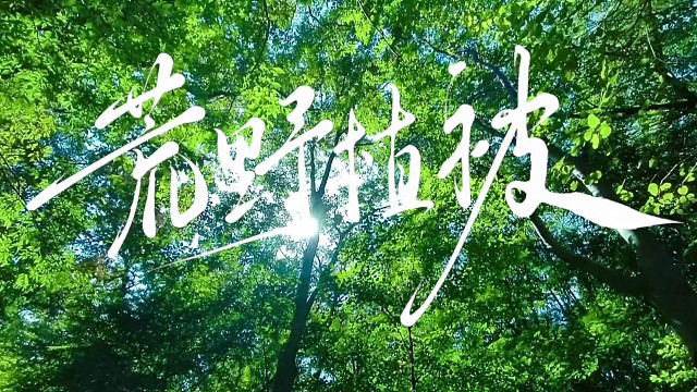 嗯对 大概就是没招了