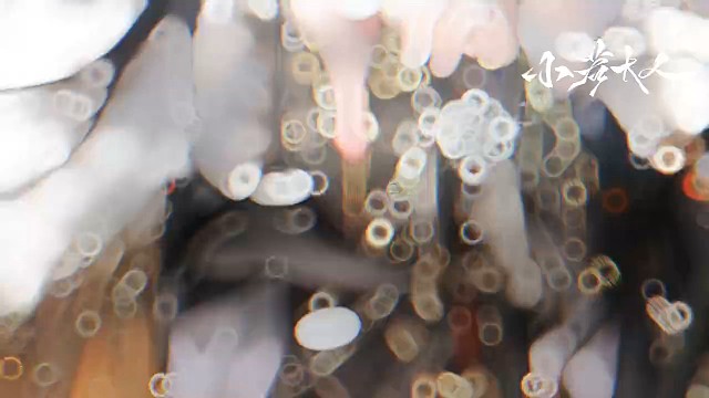 希望大家能支持一下