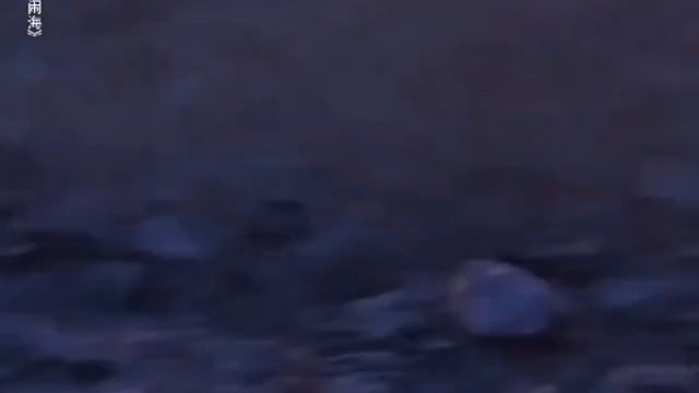 臭小子，给老娘我记着