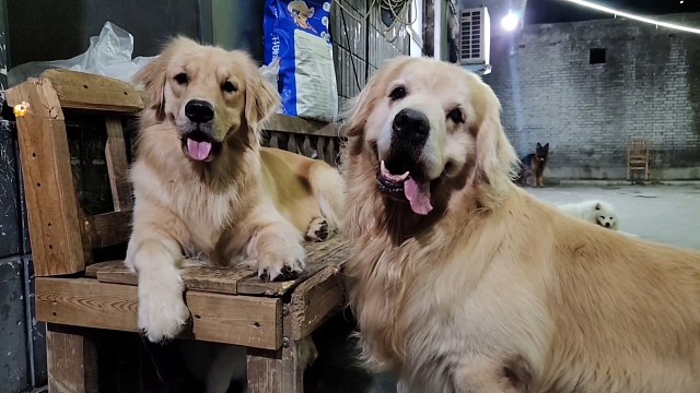 露娜哈瑞 父女同框