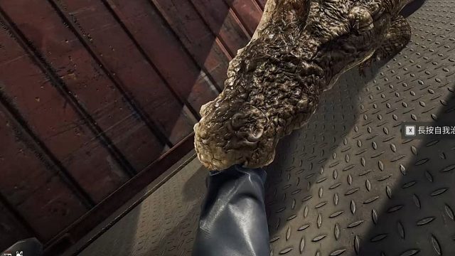 哈基鳄！你想干嘛！