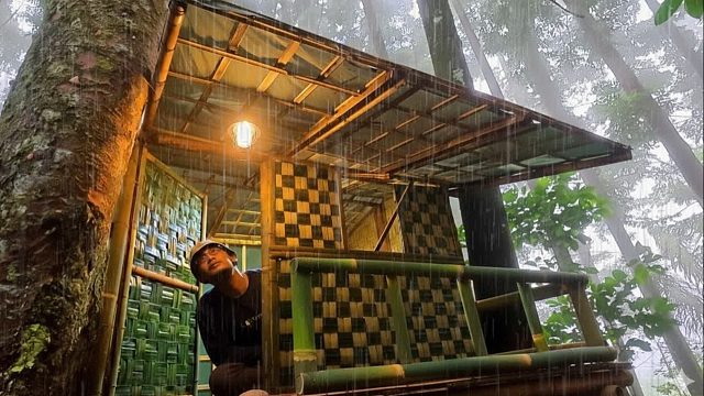 暴雨森林，经过两天的奋战，我搭建出了树屋在里面安全避雨！