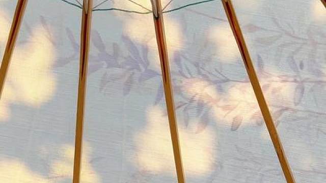 晶莹舞蹈时间都去哪儿了 “半生存了好多话，藏进了满头白发”