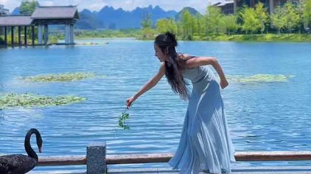 今天不偷狗改偷鹅了（舞蹈中的常见错误）