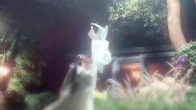 人生南北多歧路，相逢一场已是春