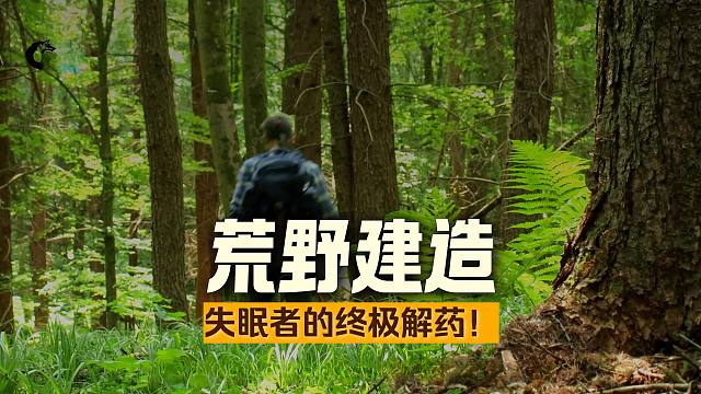 一口气看完汤姆在野外建造的三所豪华木屋
