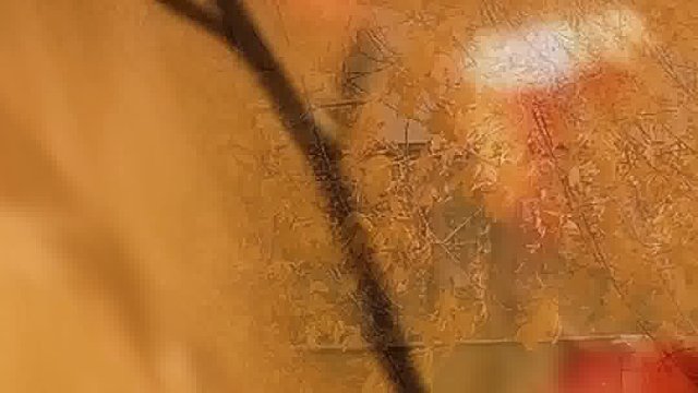 享家建材|秋分将临，享金风至，家纳秋祥