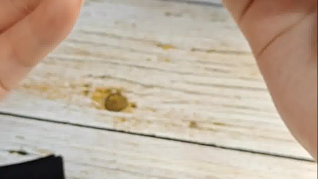 好一个2.4英寸高清大屏