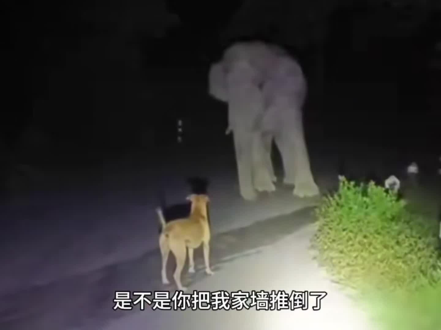 就这小破墙还想拦住我