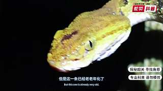 韶關(guān)科普合集?。?！