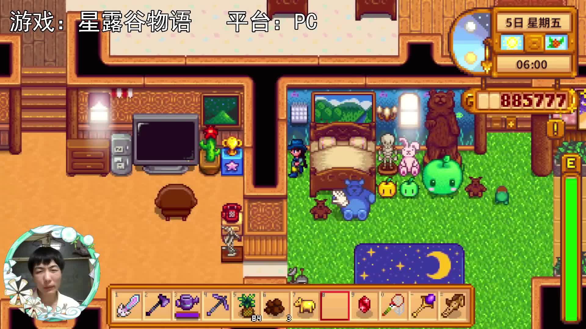 【星露谷物语】家门鸟，放出来不能超过星露谷的一天啊！