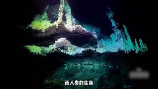 孕育了獨一無二的生態(tài)系統(tǒng) (1)