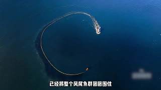 孕育了獨一無二的生態(tài)系統(tǒng) (2)