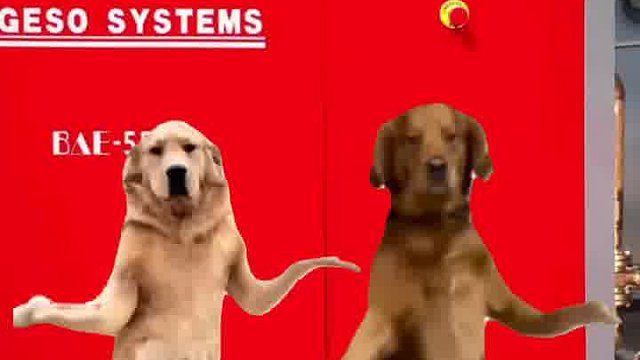 领导我做的宣传片