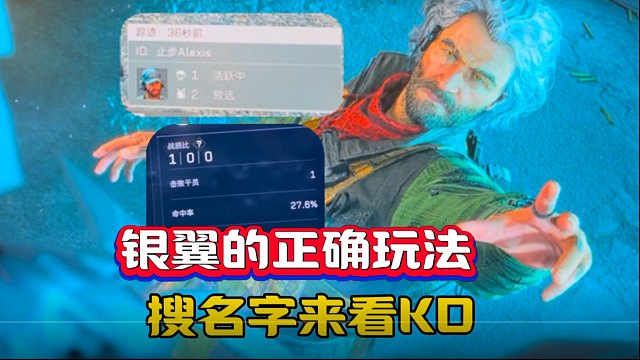 银翼的正确玩法，原来是搜名字看KD？？