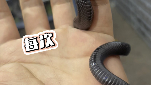 【珍妮捅了鼠窝】更新了一条视频，快来围观！