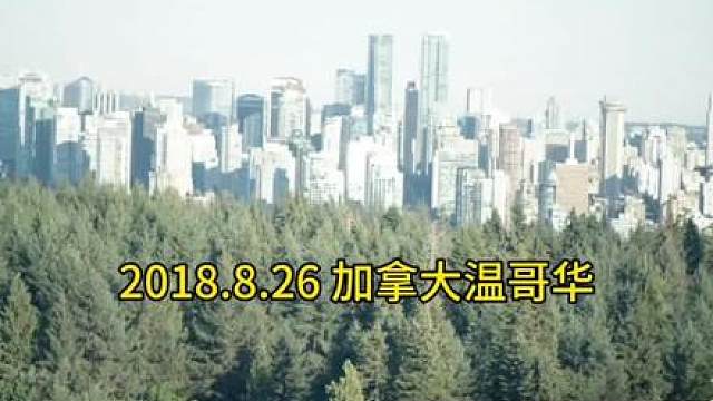 七年了，你也该释怀了，可我怎么还是走不出来