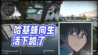 【楊齊家丶】哈基蜂向生活下跪了