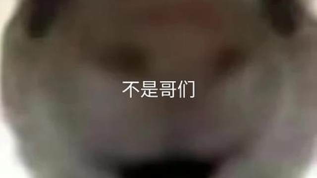 烽火杯来了一堆邪恶绿裤子