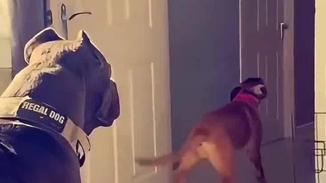 什么骚操作，又看一遍  ​