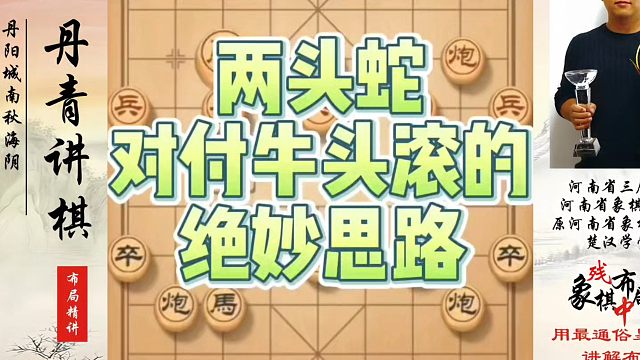 象棋布局一点通全套课程，两头蛇对付牛头滚的绝妙思路！如何快速提升象棋水平系统学棋？如何学习象棋布局、