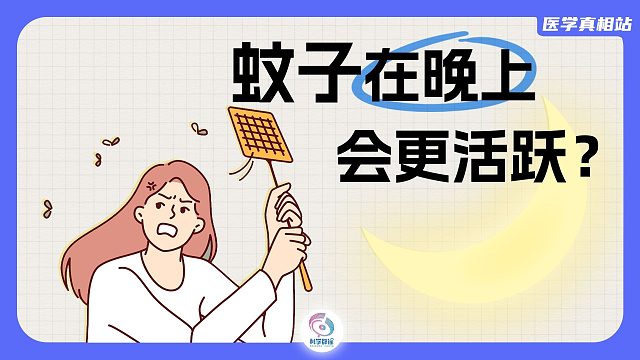 蚊子在晚上会更活跃。是真的吗？