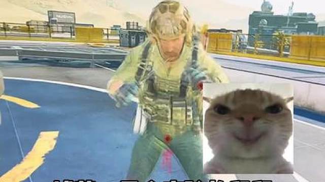 航天基地存活下来的哈基蜂多少有点活