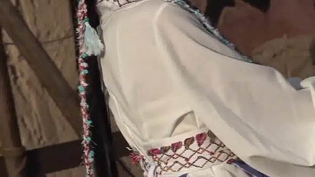 西域来的小郡主